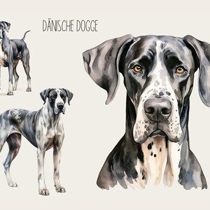 Può includere: Illustrazione ad acquerello di un Dogue de Bordeaux in tre pose. Il cane è nero e bianco con macchie tigrate. Il testo "DÄNISCHE DOGGE" è scritto in nero nella parte superiore dell'immagine.