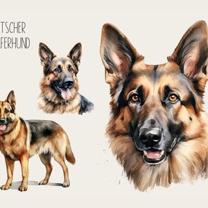 May include: A watercolour painting of a German Shepherd dog. The dog is shown in three different poses: a full-body portrait, a close-up of the head, and a close-up of the face. The dog is brown and black with a tan muzzle. The text "DEUTSCHER SCHÄFERHUND" is written in black at the top of the image.