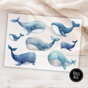 Könnte beinhalten: Ein rechteckiges Blatt mit sechs Aquarellillustrationen von Blauwalen in verschiedenen Schwimmpositionen. Die Wale sind in Blautönen mit weißen Bäuchen und sichtbaren Kehlfurchen dargestellt. Ein schwarzes rundes Abzeichen zeigt den Text BÜGEL BILD.