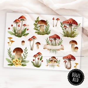 Peut inclure: Une feuille d'illustrations à l'aquarelle de champignons de différentes tailles et dispositions. Les champignons ont des chapeaux rouges à pois blancs, des chapeaux bruns et des branchies jaunes. Le feuillage vert et les accents floraux entourent les champignons. La feuille porte le texte "BÜGEL BILD" dans un cercle noir.