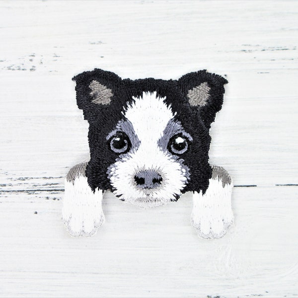 Cute Border Collie application for ironing or sewing, Border Collie puppy, motif approx. 4 cm, dog, herding dog black and white mothballed