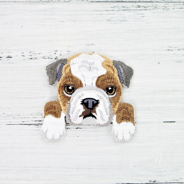Bulldog for ironing, bulldog application, dog, press, patch, bulldog puppy as patch, motif approx. 4 cm, ironing picture, molosser