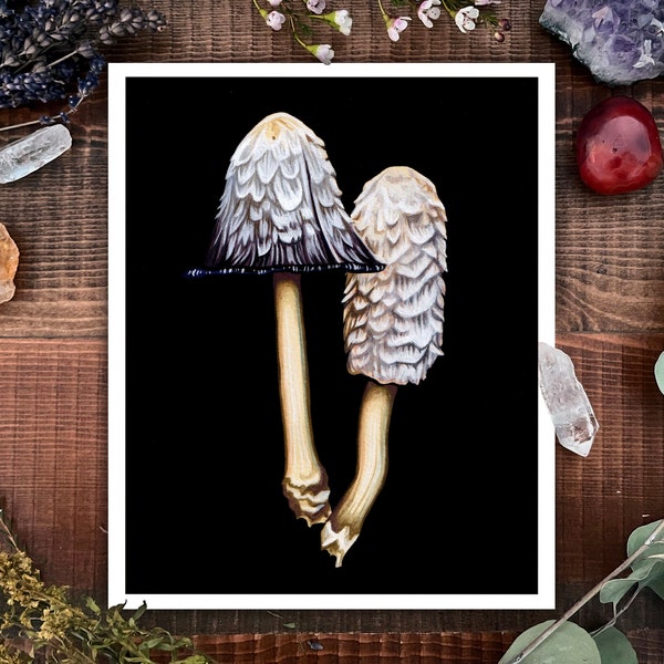 Shaggy Mane Mushroom 8" x 10" Print