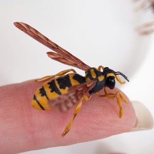 Può includere: Una dettagliata statuetta di vespa in miniatura con strisce gialle e nere, ali marroni e zampe delicate. La vespa è appollaiata su un dito, con un'altra vespa sullo sfondo. Lo sfondo è bianco.