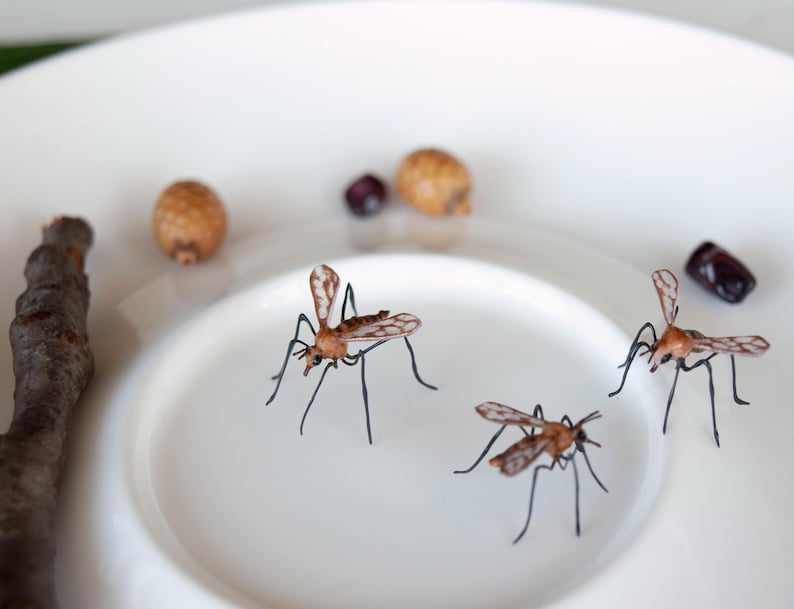 K&ouml;nnte beinhalten: Drei braune und schwarze Insektenfiguren auf einem wei&szlig;en Teller. Die Insekten haben lange Beine und Fl&uuml;gel.
