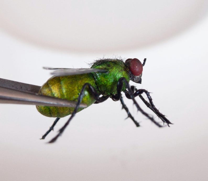 May include: A realistic model of a housefly featuring a metallic green iridescent body, dark black legs with fine hair-like textures, and prominent reddish-brown compound eyes. The insect model is held by a pair of silver metal tweezers.