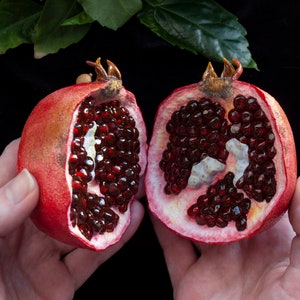 Handmade Polymer Clay Pomegranate Sculpture: Soulmate Gift