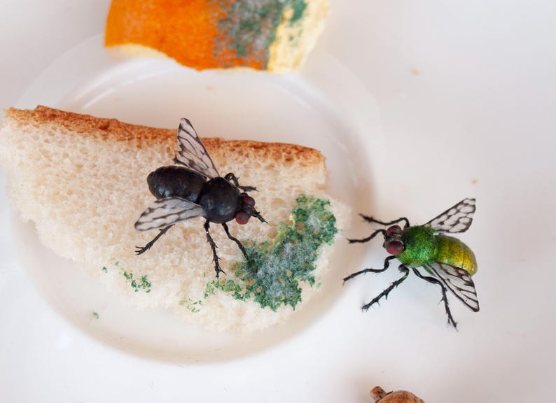 May include: Two realistic insect figurines, one black and one metallic green, positioned on a slice of white bread with green textured patches. The bread rests on a white plate alongside a piece of orange peel with green textured spots.