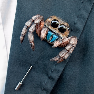 Realistic jumping spider brooch, cute arachnid miniature lapel pin, spider jewelry, entomology gifts, fake insect nature lover gift