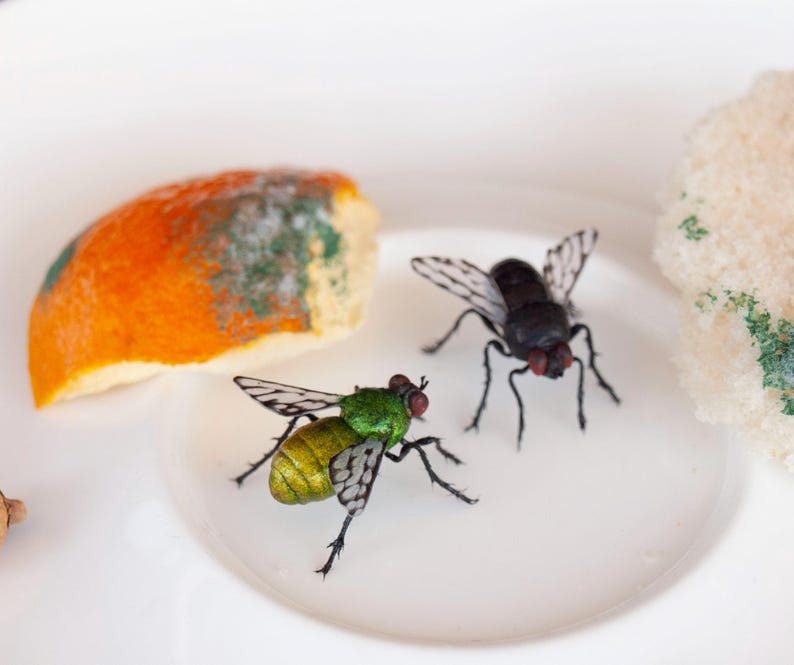 May include: Two realistic insect figurines, one with a metallic green body and the other with a matte black body, both featuring translucent wings with black vein patterns and thin black legs, positioned near a piece of orange citrus peel.