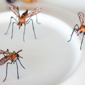 K&ouml;nnte beinhalten: Drei braune und schwarze Insektenmodelle auf einer wei&szlig;en Oberfl&auml;che. Die Insekten haben lange Beine und Fl&uuml;gel.