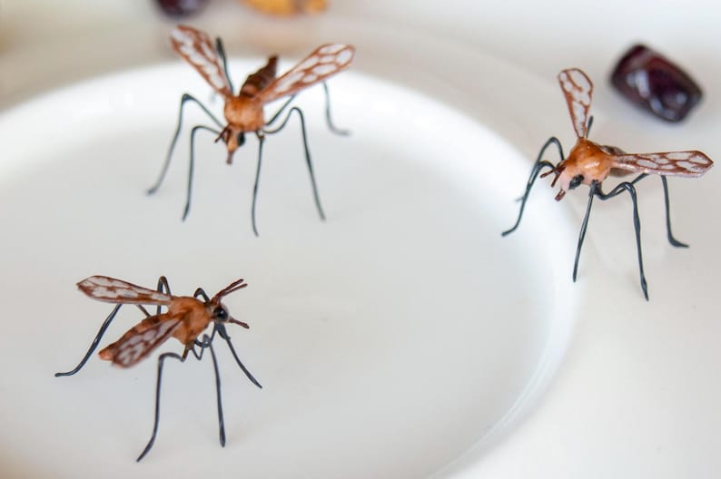 K&ouml;nnte beinhalten: Drei braune und schwarze Insektenmodelle auf einer wei&szlig;en Oberfl&auml;che. Die Insekten haben lange Beine und Fl&uuml;gel.