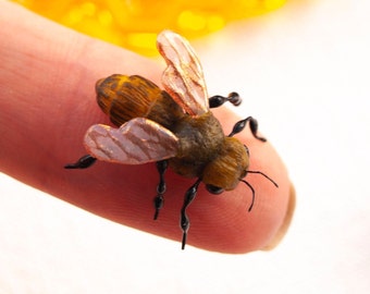 May include: A close-up of a small, detailed, brown and black bee with translucent, pink wings. The bee is perched on a finger.