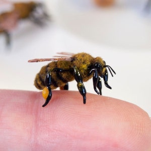 Realistic fake bee figurine, honeybee miniature, plant decorations set, queen bee gifts, honey bee collection, beekeeper  props for movies