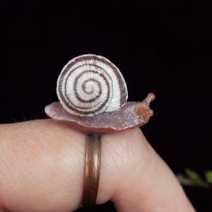 Snail adjustable ring, realistic snail insect miniature figurines, woodland witchy jewelry, garden nature lover gift, unique animal ring
