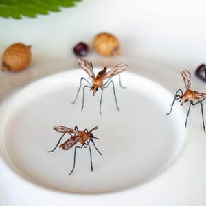 K&ouml;nnte beinhalten: Drei braune und schwarze Insektenmodelle auf einem wei&szlig;en Teller. Die Insekten haben lange Beine und Fl&uuml;gel.