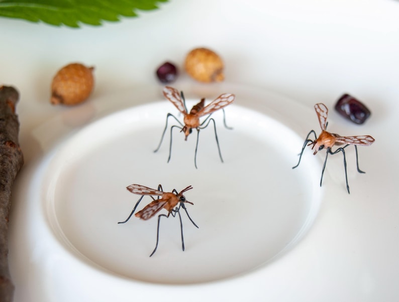 K&ouml;nnte beinhalten: Drei braune und schwarze Insektenmodelle auf einem wei&szlig;en Teller. Die Insekten haben lange Beine und Fl&uuml;gel.