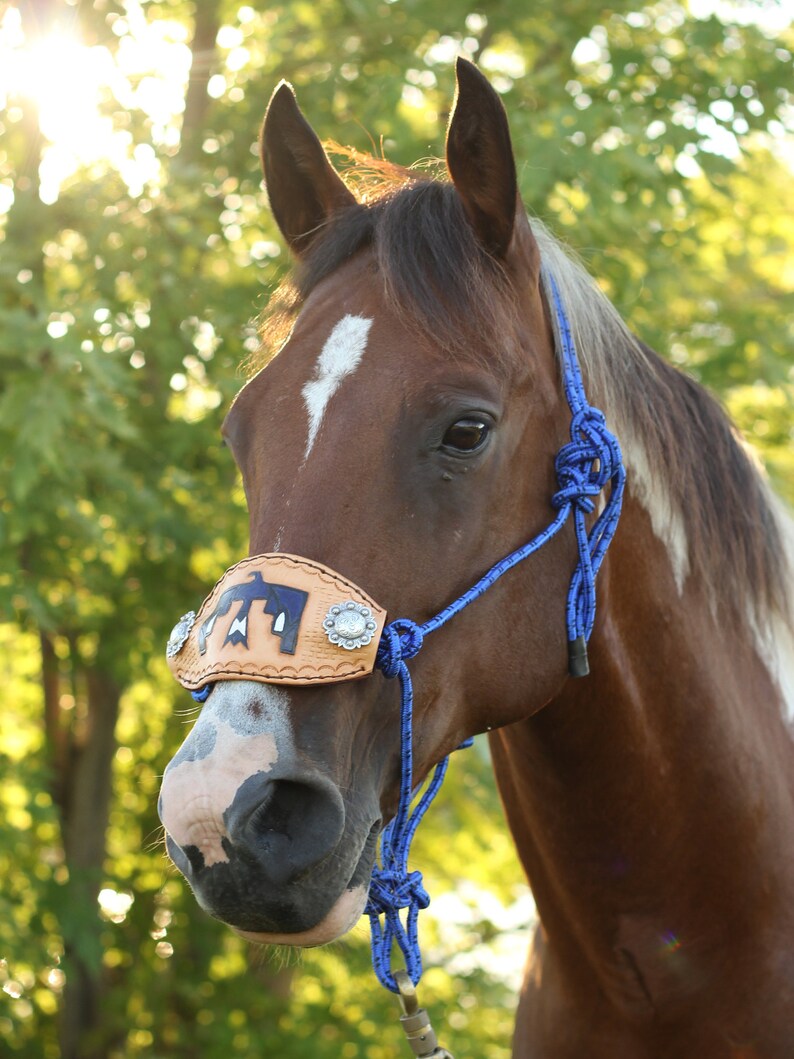 Blue Eagle Bronc Halter Horse Rope Halter with Handmade Etsy