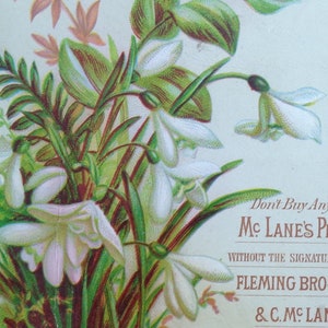 Original 1880&#39;s Victorian Trade Card - McClane&#39;s Pills - Fleming Bros. & C McClane Floral Design