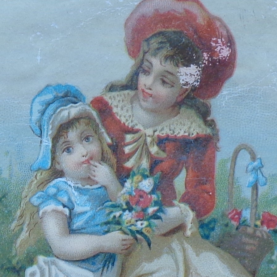 Original 1880's Victorian Trade Card - American Biscuit