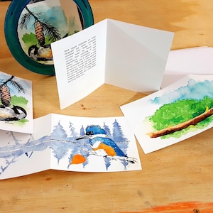 Lot de 12 cartes de voeux d'oiseau numéro un, avec 4 de chacun des trois motifs