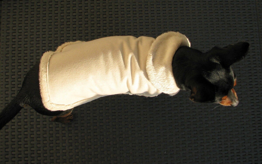 Dog Jacket Decorated Light Beige Dog Coat Dog Coat Dog Jacket Etsy