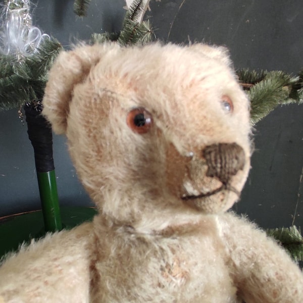 Vintage antik abgeliebter kleiner alter Teddybär Steiff Bär Glasaugen Holzwolle gestopft Pfoten 4 Krallen