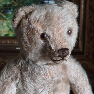 Antique steiff bear - Etsy 日本