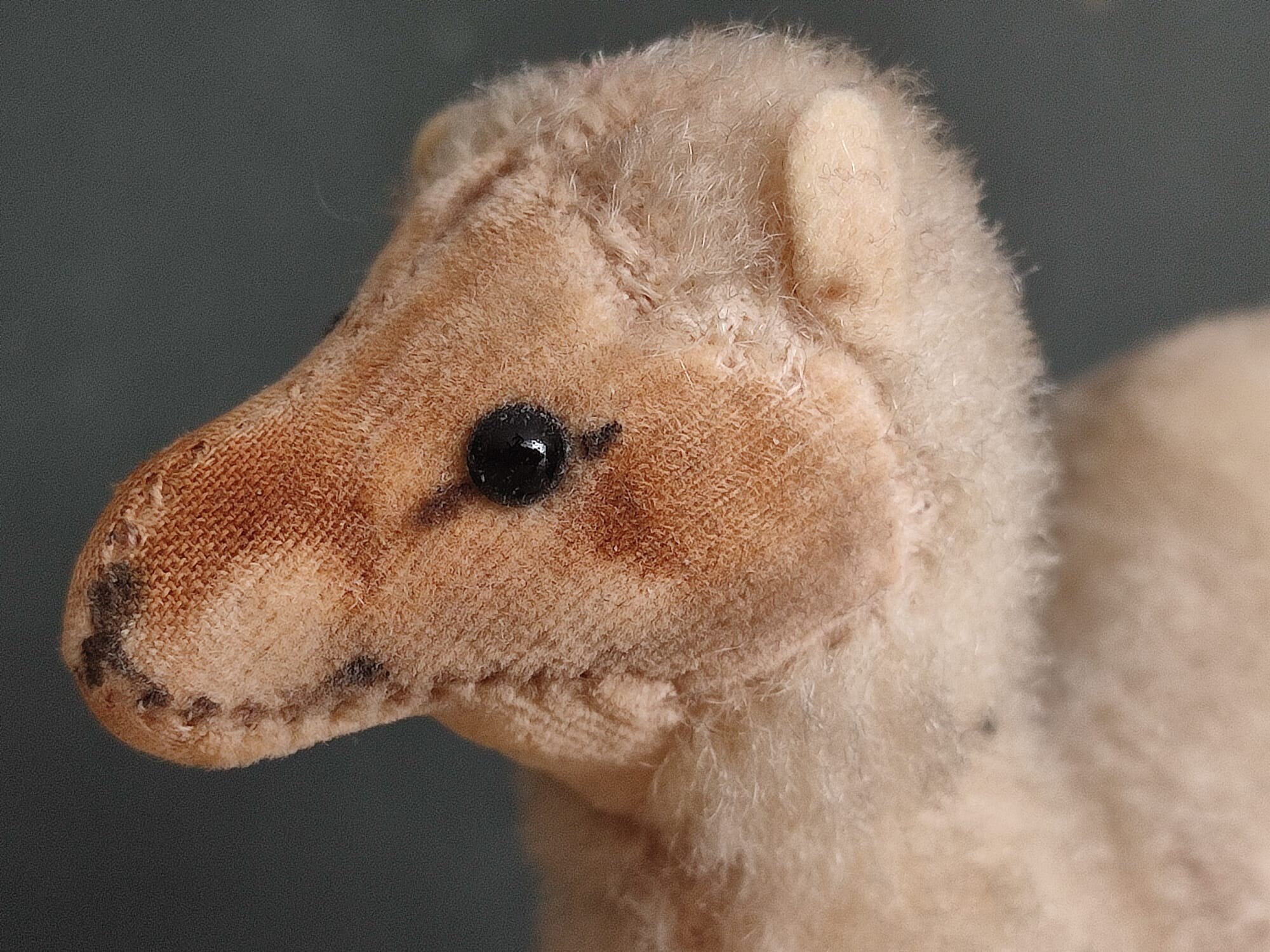 ヴィンテージ シュタイフ 動物 ヒトコブラクダ ラクダ ぬいぐるみ