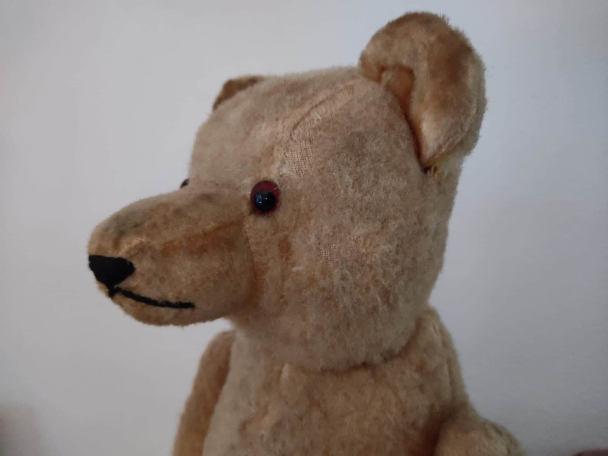 Antique steiff bear - Etsy 日本