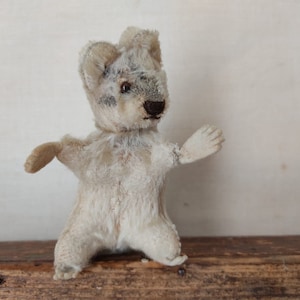 Old Vintage Toy Small STEIFF Raccoon Raccy 10 cm Racoon