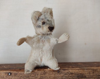 Altes Vintage Spielzeug kleiner STEIFF Waschbär Raccy 10 cm Racoon