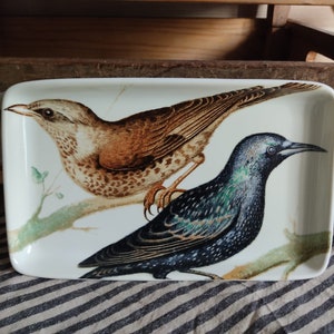 Plate Plate Decor Water Thrush of Old Engraving Ceramic Feldspar Porcelain H&M Home Country House Farmhouse Vintage Kitchen Decoration