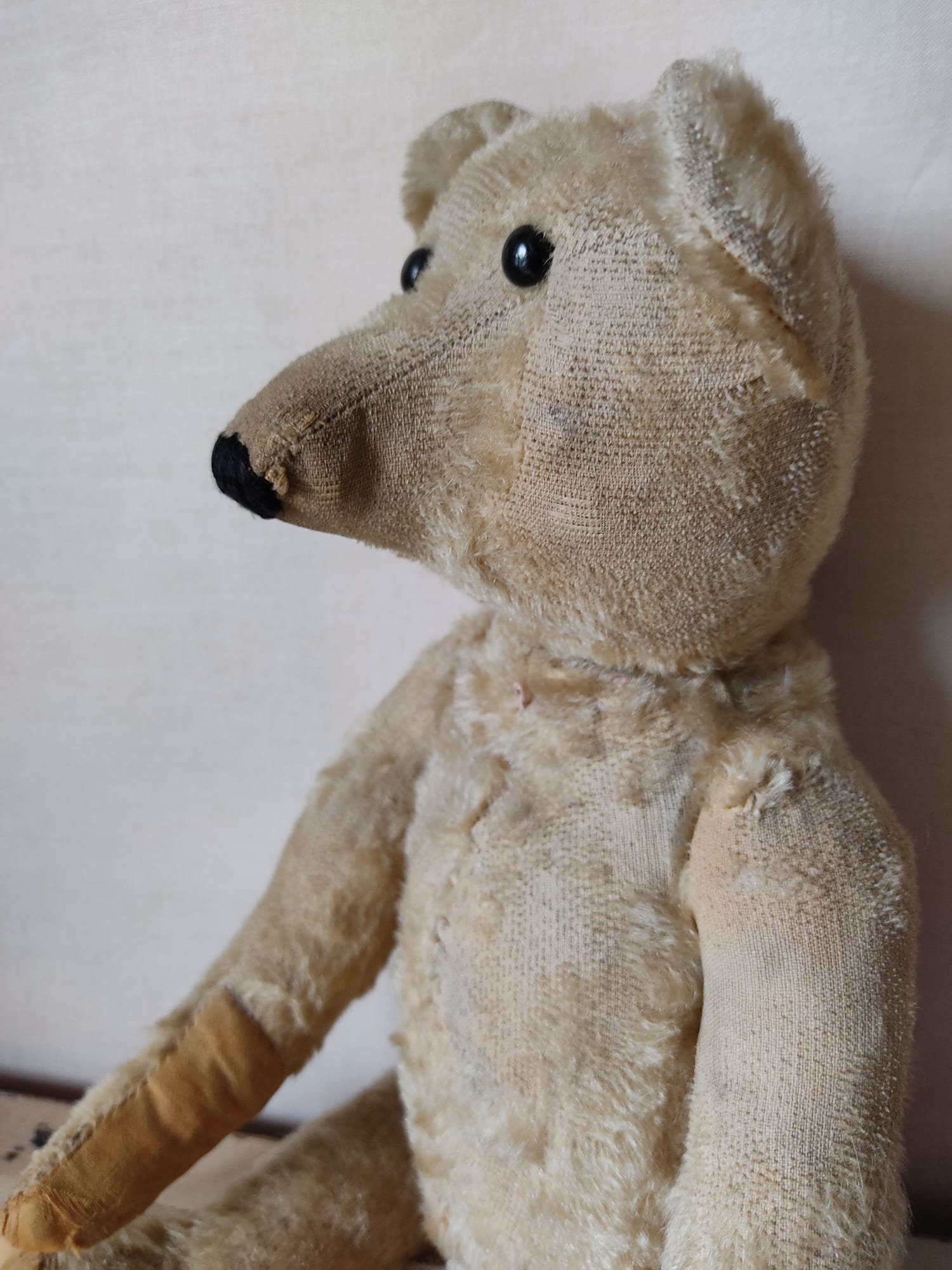 アンティーク シュタイフ ベア、テディベア、40 cm (16 インチ)、状態