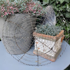 Vintage antique cake rack Fil de Fer true French shabby rusty patina country house kitchen farmhouse