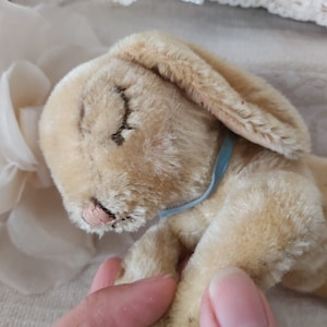 May include: A light brown plush bunny with a blue ribbon around its neck. The bunny is lying on its side with its eyes closed.