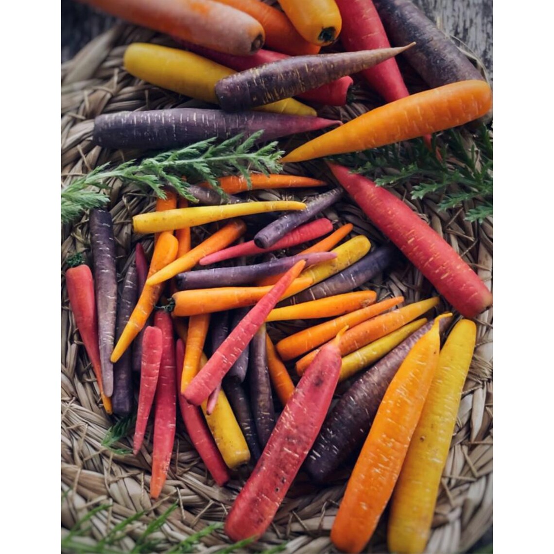 Miniature carrots. Tutorial polymer clay.Fake carrot. Mini Etsy