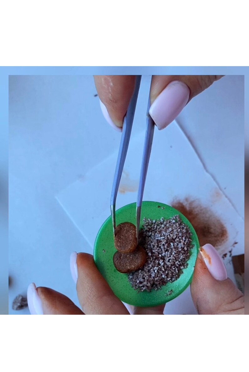 Miniature Dollhouse Food Tutorial DIY Instructions Etsy