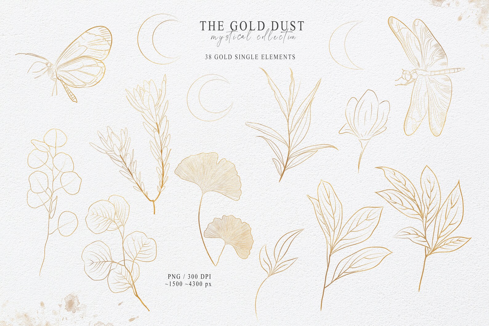 One line drawing gold flower line art flower stem clipart Etsy