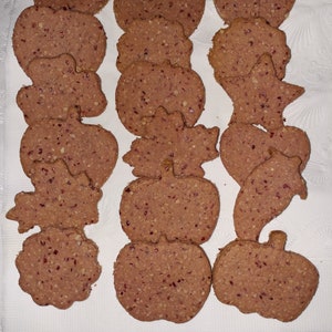 Healthy, Homemade Oatmeal Peanut Butter and Fruit Dog Treats Sample Size