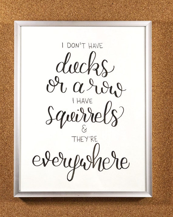 I don't have ducks or a row. I have squirrels and they're everywhere.