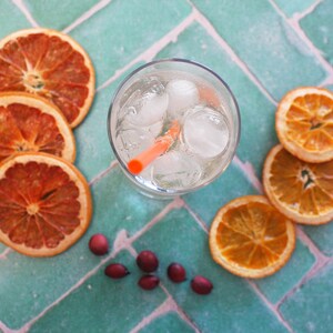 Sea Breeze Alcohol Infusion Cocktail Kit - Infuse Vodka, Gin or Rum! - Etsy
