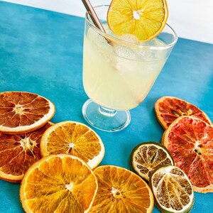 Citrus Grove Orange Margarita Alcohol Infusion Cocktail Kit Great for tequila lovers image 5