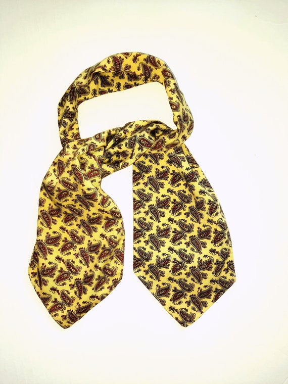 Paisley Headband Scarf Necktie Hair Tie Head Scar… - image 1