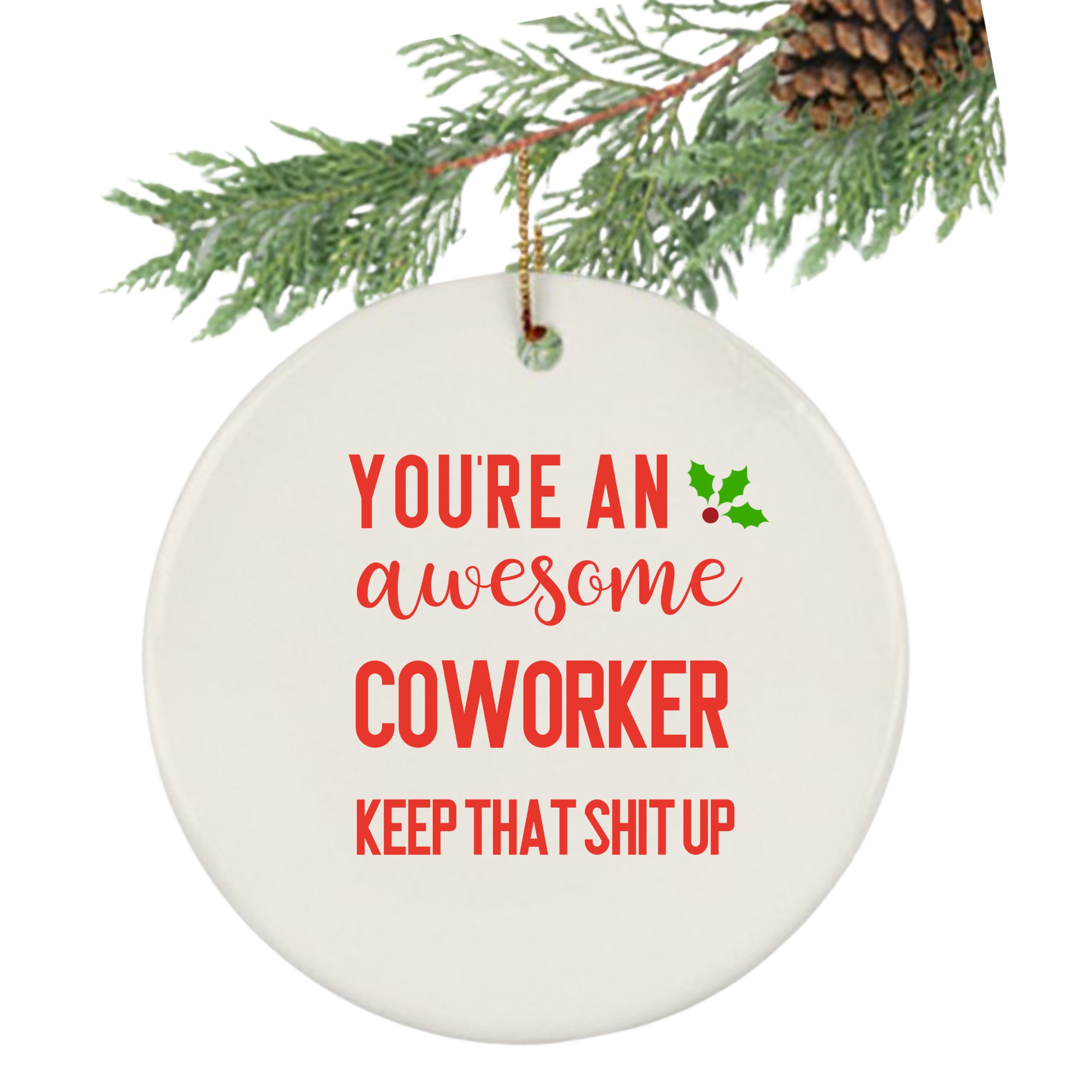 Coworker Gift Funny Christmas Ornament You're Awesome Etsy UK