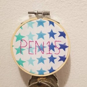 Aro de bordado PEN15 de 3&quot; / Arte de fibra / Arte queer / Costuras subversivas / Divertido / Regalos menores de 15 años