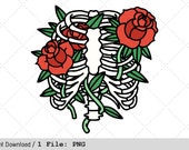 Il_170x135