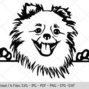 Peeking Pomeranian SVG, T-Shirt Graphic Design, Cute Animal