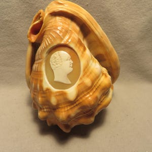 Vintage (Antique?) Italian Hand Carved Cameo Seashell with Carved Male Profile