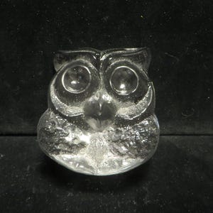 May include: A clear glass owl figurine with large, round eyes and a textured surface. The owl is depicted in a frontal view, showcasing its beak and the details of its feathers. The figurine is a decorative item.